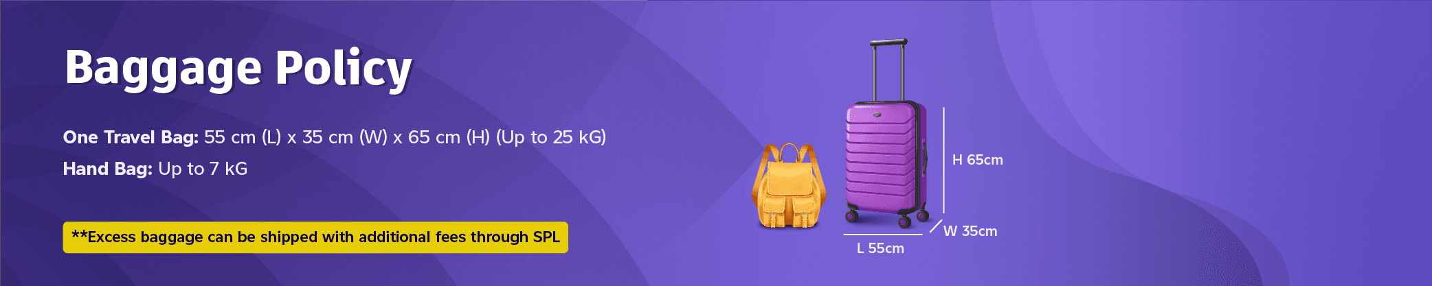 Baggage Policy Design